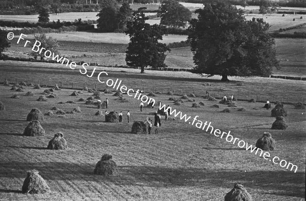 NOVICES HARVESTING IN FRONT OF HOUSE